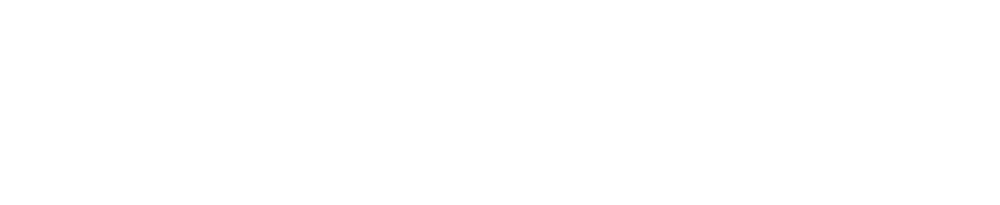 HNL Web Flasher Logo